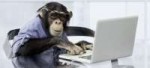 code-monkey-620x284.jpg