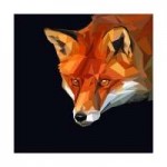 mid92-red-fox-head-intensivewatching-something-on-dark-back[...].jpg