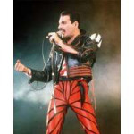 freddie-mercury-red-and-black-jacket-1-500x500.jpg