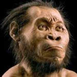 homo-naledi.jpg