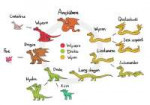Types of dragons.jpg