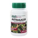 Natures-Plus-Astragalus[1].jpg