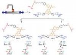 molecularrobot1[1].jpg