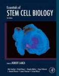 stem cell biology.png