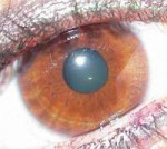 Augenfarbehellbraun.jpg
