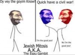 jewish mitosis.jpg