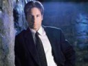 fox-mulder-005-1024x768[1].jpg