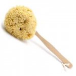 sea-sponge-on-stick.jpg