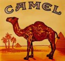 Camel20cig20logo.jpg