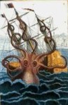 ColossaloctopusbyPierreDenysdeMontfort.jpg