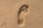 footprint-4998491280.jpg