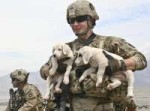 militarydogweek101812.jpg