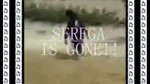 seregaisgone.webm