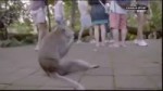 e1961.mp4