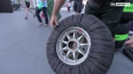 ShadyFrigidBat-mobile[1].mp4