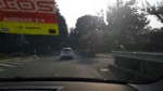 Заткнись пес.mp4