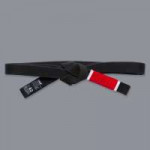 black-belt-v2.jpg