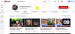 ЖЕЛЕЗНАЯ СТАВКА МАТЧ ГОДА 17.05.2019 GOOGLE STOP POST CHILD[...].webm