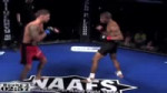 Cody Garbrandt Knocked Out Cold.mp4