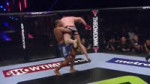 15614824198730.mp4