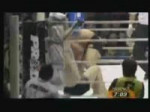 3.mp4