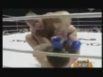 4.mp4
