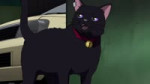 15175525193352.webm