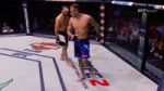 Tony El Cucuy Ferguson Highlights (HD) 2019 — копия.mp4
