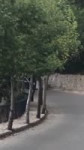 15678482577491.mp4