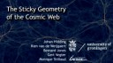 The Sticky Geometry of the Cosmic Web, version 2.01.webm
