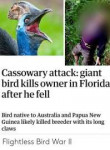 cassowary-attack-giant-bird-kills-owner-in-florida-after-he[...].png