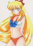 Sailor Venus.jpg
