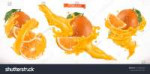 stock-vector-orange-juice-fresh-fruit-d-realistic-vector-ic[...].jpg