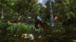 Elder Scrolls IV  Oblivion Screenshot 2018.06.19 - 20.16.35[...].jpg