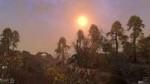 Elder Scrolls 3  Morrowind Screenshot 2019.04.14 - 04.51.42[...].png