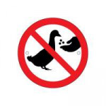 no-bird-feeding-prohibition-disc.jpg