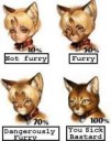 furryclassification