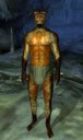 ArgonianTribesman