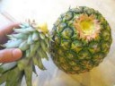 Как-вырастить-ананас-в-домашних-условиях.jpg