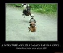 A-long-time-ago-in-a-galaxy-far-far-away-star-wars-wiener-d[...].jpg