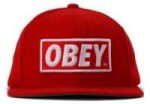 Надпись-Obey-на-кепке-300x209.jpg