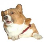 1319392211727.png