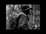 ✪ WWII Allied Combat Cameramen ✪VP8.webm