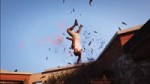 GTA - A crow.webm