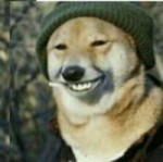 reaction dog smile laugh.jpg