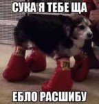 ебло расшибу.jpg