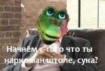 1309566926990.jpg