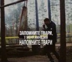 1530303966772.jpg