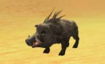 wildschwein[1].png