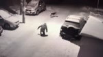 15614990395500.mp4